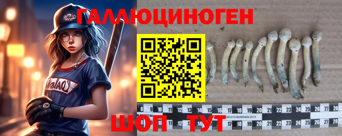 Нарткала  Псилоцибиновые грибы Magic Shrooms  Псилоцибиновые грибы GOLDEN TEACHER  сколько стоит  Вход с VPN 